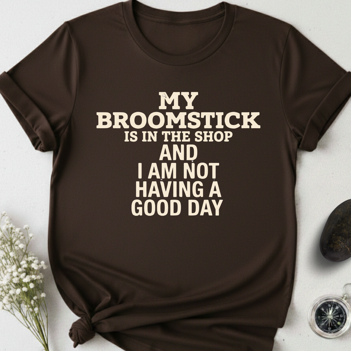My Broomstick Is In The Shop T-Shirt