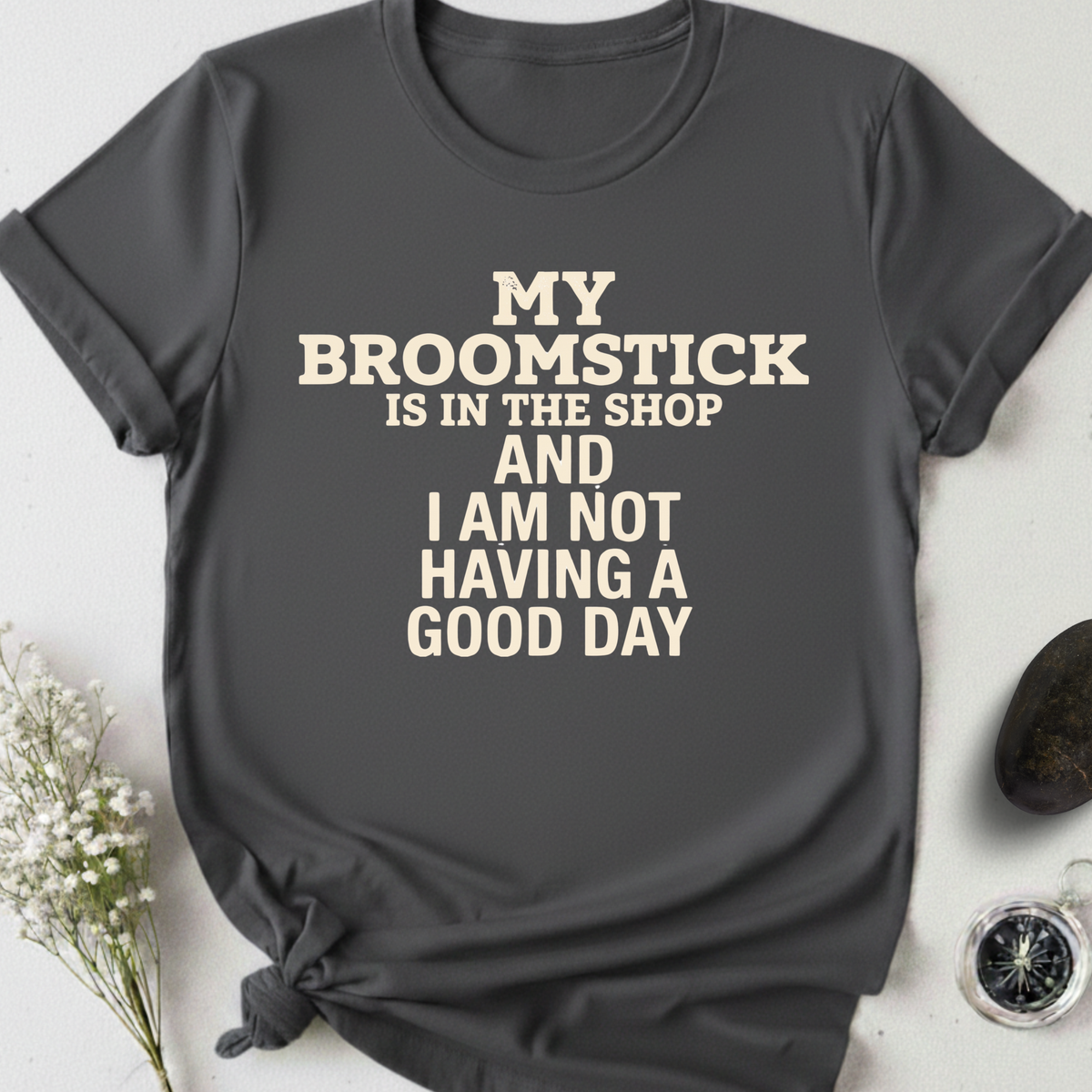 My Broomstick Is In The Shop T-Shirt